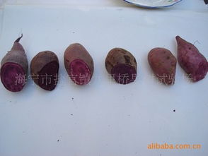 紫甘薯高效栽培技術(shù)轉(zhuǎn)讓 市場價(jià)值與專業(yè)平臺推薦